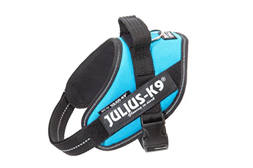 Julius-K9 16IDC - Power Harness Julius-K9 16IDC - Power Harness