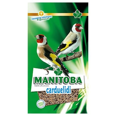 Manitoba - Mixtura Jilgueros Carduelidi, 2.5KG