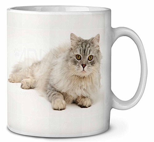 Plata Chinchilla gato persa CumpleaÃ±os taza de cafÃ© regalo navidad
