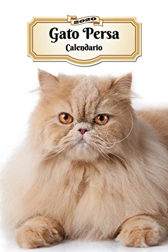 2020 Gato Persa Calendario: 107 Páginas | Tamaño A5 | Planificador Semanal | 12 Meses | 1 Semana en 2 Páginas | Agenda Semana Vista | Tapa Blanda | Gato