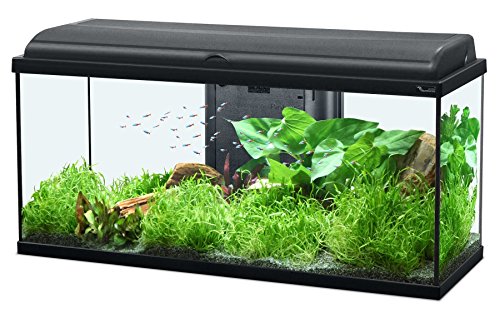 Acuario aquadream 80, LED, Negro, 90 L