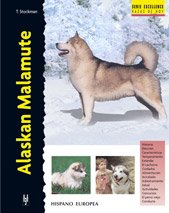 Alaskan Malamute (Excellence)