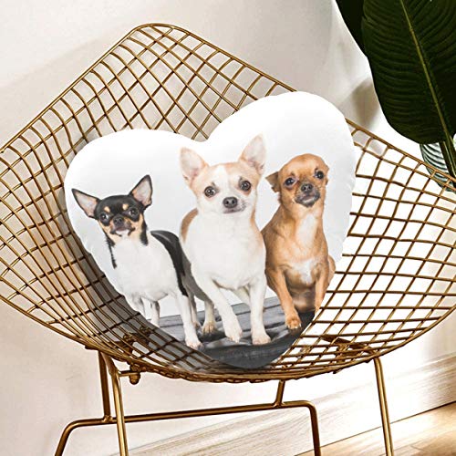 Almohadas decorativas para dormitorio Almohadas decorativas lindas pequeñas para perros cachorros de Chihuahua 13.78 X 13.78 pulgadas Cojín en forma de corazón Regalo para amigos / niños / niña / día Almohadas decorativas para dormitorio Almohadas decorativas lindas pequeñas para perros cachorros de Chihuahua 13.78 X 13.78 pulgadas Cojín en forma de corazón Regalo para amigos / niños / niña / día