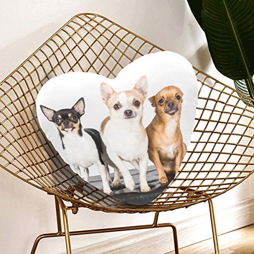 Almohadas decorativas para dormitorio Almohadas decorativas lindas pequeñas para perros cachorros de Chihuahua 13.78 X 13.78 pulgadas Cojín en forma de corazón Regalo para amigos / niños / niña / día