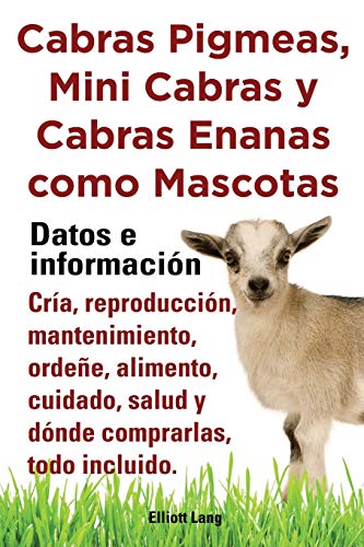 Cabras Pigmeas, Mini Cabras y Cabras Enanas Como Mascota. Datos E Informacion. Cria, Reprodu