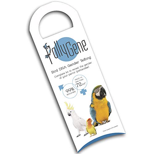 Kit de Sexado de Aves por ADN para Loros, Agapornis, Cacatúas, Guacamayo, (300 Psitácidas más) - ENVÍO GRATIS - Incluido Certificado de sexaje. Kit de Sexado de Aves por ADN para Loros, Agapornis, Cacatúas, Guacamayo, (300 Psitácidas más) - ENVÍO GRATIS - Incluido Certificado de sexaje.