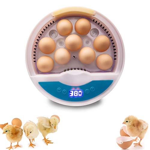 KKTECT Incubadora de 9 Huevos Pequeñas incubadoras de Huevos Mini Equipo de incubación para el hogar con LED Light Egg Candler Tester y Control de Temperatura para Pollo Pato Pato codorniz