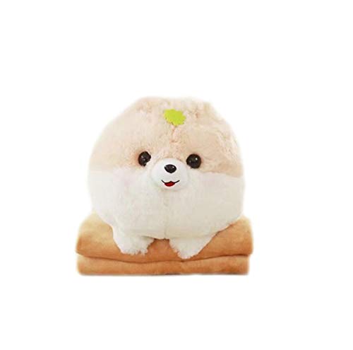 lanfire Super Cute 1pieza 30 x 40 cm Creative Cartoon almohada de Pomerania de perro de peluche con manta Insider (100 x 170 cm) niños regalo de cumpleaños