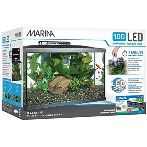 Marina Kit de Acuario con Iluminación LED 10G, 38 L