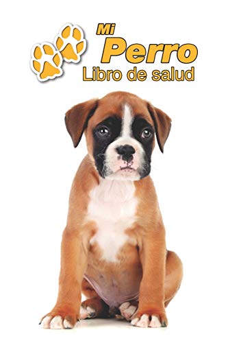 Cachorros Boxer Anuncios Noviembre Clasf