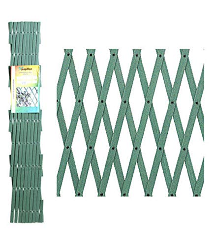 Papillon 8091555 Celosia PVC Verde Extensible 4x1 Metros, 4x1m