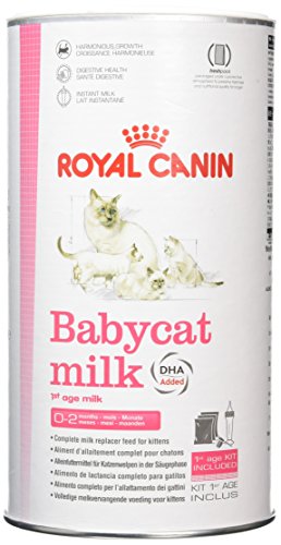 Royal Canin C-58410 Baby Leche Gato - 300 gr Royal Canin C-58410 Baby Leche Gato - 300 gr