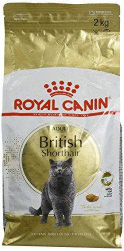 Royal Canin C-58665 British Shorthair - 2 Kg Royal Canin C-58665 British Shorthair - 2 Kg