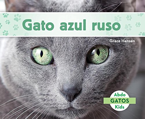 SPA-GATO AZUL RUSO (RUSSIAN BL (Gatos/ Cats)