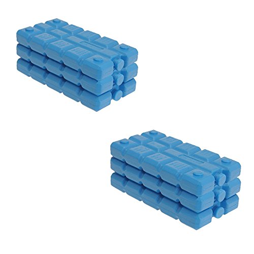 We search you save - Juego de bloques de de hielo para nevera portátil (6 unidades, 16 x 9 x 2 cm) Talla:Pack de 6