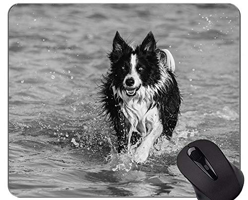 Yanteng Perros Pastor Alemán Cachorros Gaming Mouse Pads, Collie In Water Base de Goma Antideslizante Mousepad