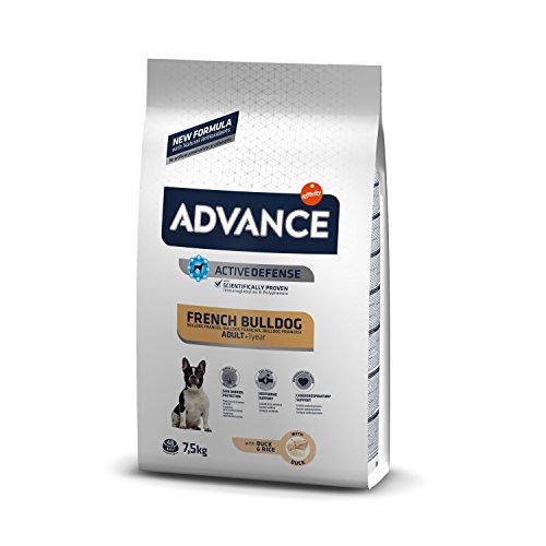 Advance Bulldog Francés Pienso Para Perros De Raza Bulldog Francés - 7.5 Kg Advance Bulldog Francés Pienso Para Perros De Raza Bulldog Francés - 7.5 Kg