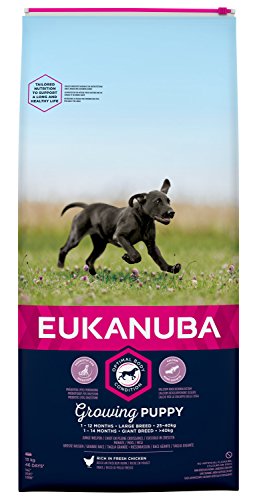 Eukanuba Cachorro Raza grande Pollo