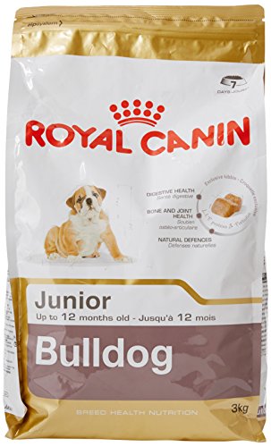 Royal Canin C-08938 S.H. Nut Bulldog Junior - 3 Kg