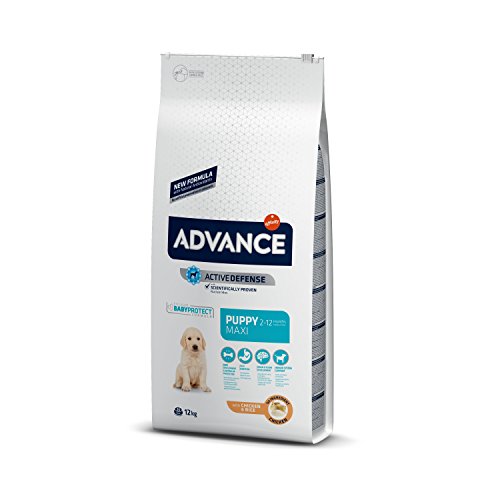 Advance Advance Pienso para Perro Maxi Puppy con Pollo - 12000 gr Advance Advance Pienso para Perro Maxi Puppy con Pollo - 12000 gr