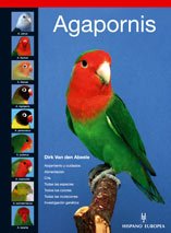 Agapornis (Pajaros / Birds)