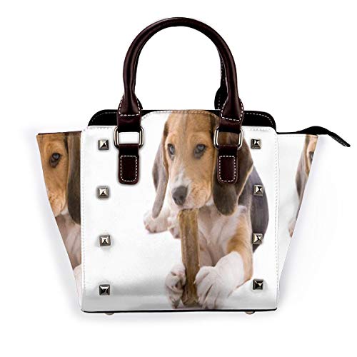 BROWCIN Lindo Beagle Joven Pedigrí Masticar Pata Pura Raza Aislado Cachorro Animales Desmontable Moda Tendencia Bolso de las señoras Bolso de hombro BROWCIN Lindo Beagle Joven Pedigrí Masticar Pata Pura Raza Aislado Cachorro Animales Desmontable Moda Tendencia Bolso de las señoras Bolso de hombro