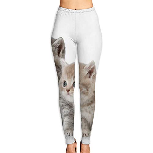 Dfform Pantalones de Yoga para Mujer Secado rápido de Deportes al Aire Libre, Pantalones de Entrenamiento de Cintura Alta, Dos Gatitos británicos de Pelo Corto de Cinco semanas de Edad S