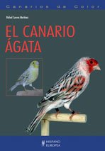 El canario ágata (Canarios de color)