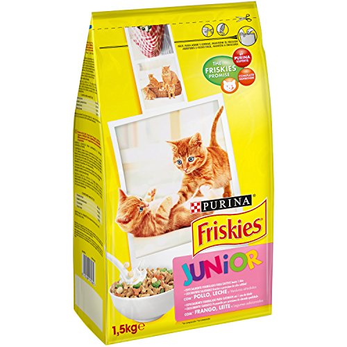 Friskies - Gato Junior con Pollo, Leche y Verduras añadidas, 1,5 Kg