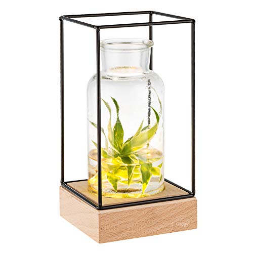 Gadgy® Jarrón decorativo con luz led | Florero vidrio con Base de madera natural y diseño de metal l 22.5 x 10.8 x 10,8 cm