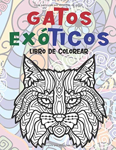 Gatos exóticos - Libro de colorear