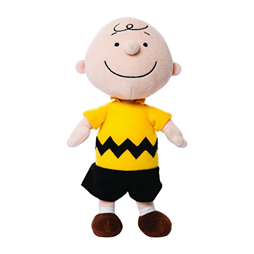 Peanuts Charlie Brown 10In