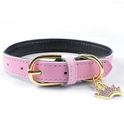 Pet Artist Collar de Piel Acolchada Suave para Mascotas, Gatos, Cachorros, Chihuahua, Lindo con Colgante Extra de Corona, Color Rosa, Azul, Rojo, Negro y Marrón