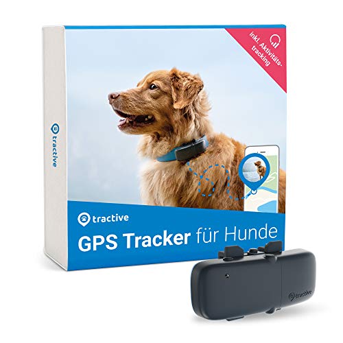 Tractive Localizador GPS para perros, rango ilimitado, seguimiento de actividad, resistente al agua (Último Modelo) Tractive Localizador GPS para perros, rango ilimitado, seguimiento de actividad, resistente al agua (Último Modelo)