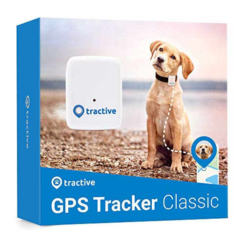 Tractive Localizador GPS para perros - Rastreador con rango ilimitado Tractive Localizador GPS para perros - Rastreador con rango ilimitado
