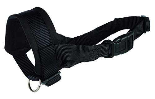 Trixie Bozal Lazo Nylon, Entrenamiento, L, 18-30 cm, Ng Trixie Bozal Lazo Nylon, Entrenamiento, L, 18-30 cm, Ng