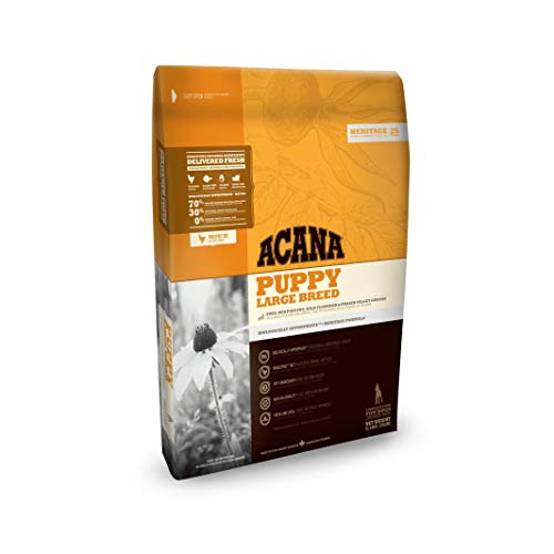 Acana Puppy Large Breed comida para perros 17 Kg