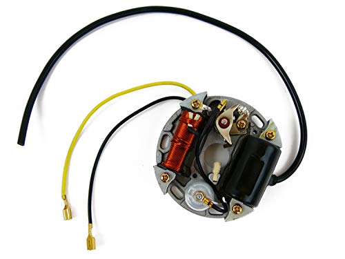 Alternador 6 V 17 W Encendido Compatible con/Pieza de Repuesto para Puch, Kreidler, Sachs, Zundapp, KTM Alternador 6 V 17 W Encendido Compatible con/Pieza de Repuesto para Puch, Kreidler, Sachs, Zundapp, KTM