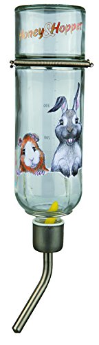 Bebedero Honey & Hopper, Cristal, 500 ml Bebedero Honey & Hopper, Cristal, 500 ml