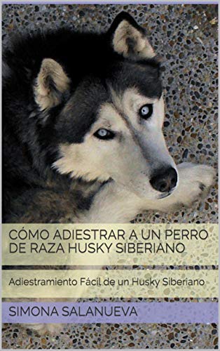 Cómo Adiestrar a Un Perro de Raza Husky Siberiano  : Adiestramiento Fácil de un Husky Siberiano