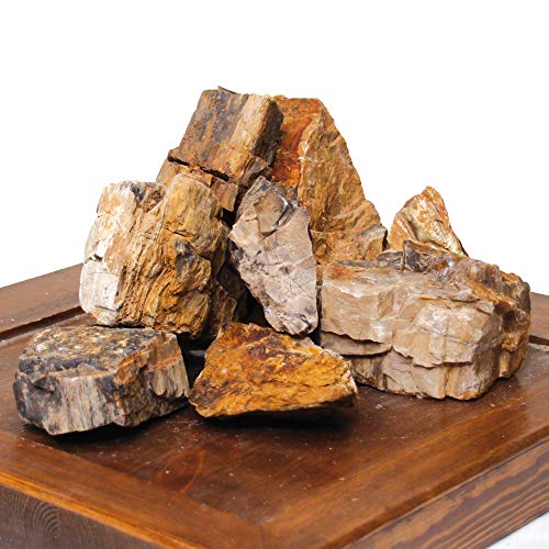 Croci A8047947 Roca Petrified, S, 0.5 kg