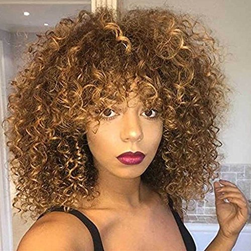 Pelucas sintéticas rizadas Afro para las mujeres negras Peluca rizada rizada rizada marrón corta Peluca Fluffy del aspecto natural a prueba de calor completa con el casquillo de la peluca Pelucas sintéticas rizadas Afro para las mujeres negras Peluca rizada rizada rizada marrón corta Peluca Fluffy del aspecto natural a prueba de calor completa con el casquillo de la peluca
