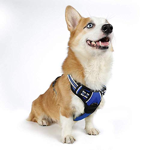rabbitgoo Arnés Perro Mediano Azul Chaleco para Perro Arnes Antitirones Perros Anres Pecho Mediano para Perros Malla Cómoda Correas Reflectantes Color Azul Tamaño M Mediano rabbitgoo Arnés Perro Mediano Azul Chaleco para Perro Arnes Antitirones Perros Anres Pecho Mediano para Perros Malla Cómoda Correas Reflectantes Color Azul Tamaño M Mediano