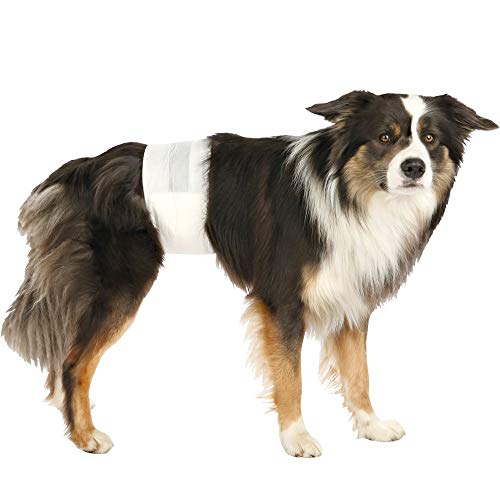 Trixie Pañales para Perros Absorbentes - Empapadores Perros Desechables para Incontinencias Cómodos 12 Unidades Talla M-L, 46-60 cm