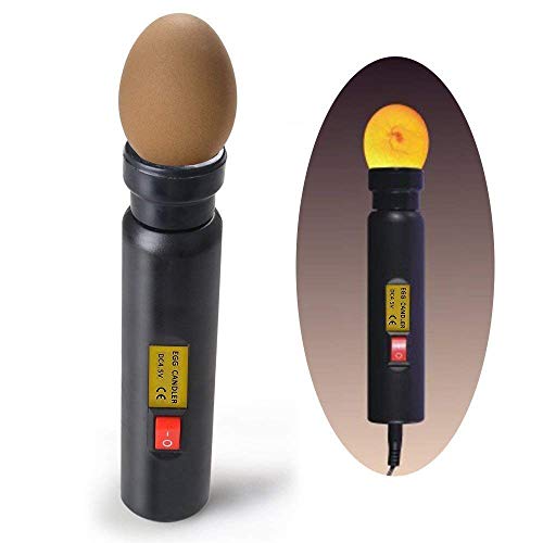 ZJchao - Incubadoras lámpara LED, Incubadora de huevos con comprobador de fertilización de huevos de codorniz con enchufe europeo