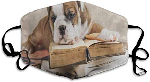A Prueba de Polvo Lavable Reutilizable Triste Pura Raza Bulldog Inglés Cachorro y Libro Tapa bucal Máscara Respirador Germen Seguridad Protectora Máscara a Prueba de Viento Caliente A Prueba de Polvo Lavable Reutilizable Triste Pura Raza Bulldog Inglés Cachorro y Libro Tapa bucal Máscara Respirador Germen Seguridad Protectora Máscara a Prueba de Viento Caliente
