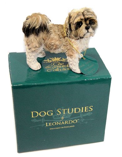 Adorno de perro Shih Tzu perro estudios realizados por Leonardo