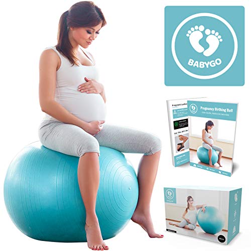 BABYGO Pelota de Pilates Embarazadas, Fitball, Ejercicio, Balón de Gimnasia Anti-Burst 1000 KG para Parto y Embarazo,Yoga, Fitness Bola con Bomba + Gratis Manual de Ejercicios 65cm