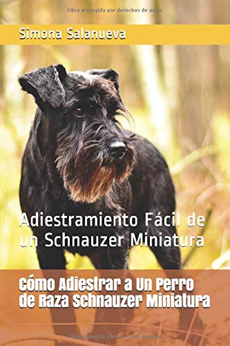 Cómo Adiestrar a Un Perro de Raza Schnauzer Miniatura: Adiestramiento Fácil de un Schnauzer Miniatura