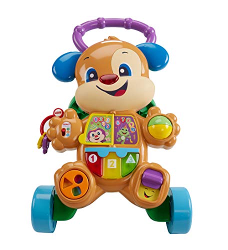 Fisher-Price Andador perrito primeros pasos, correpasillos bebé +6 meses (Mattel FRC85)